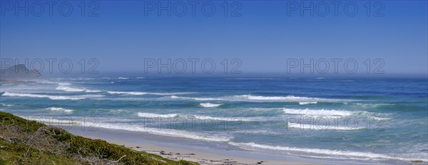 Platboom Beach, Cape Point, Cape of Good Hope, Cape Peninsula, Western Cape, South Africa, Africa