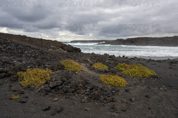 Playa de las Malvas, Lanzarote, Canary Islands, Spain, Europe
