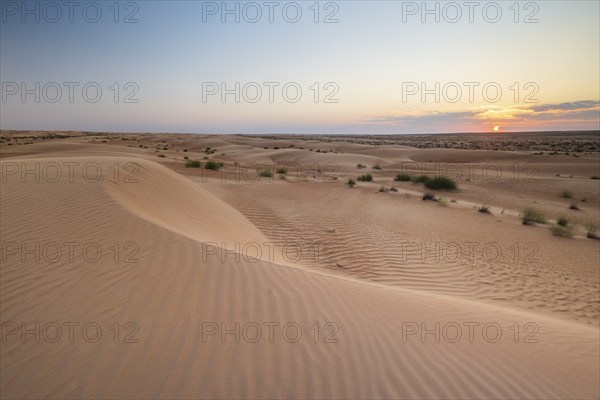 Sand dunes at sunset, Wahiba Sands desert, Sharqiya sand, Oman, Asia