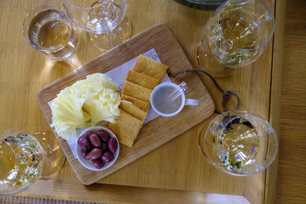 Wine tasting, Oldenburg Wine Estate, Oldenburg Vineyards, Banghoek, Stellenbosch, Western Cape,