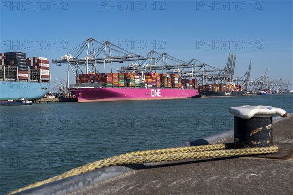 The seaport of Rotterdam, Maasvlakte, Hutchinson ECT Delta Terminal, Container Terminal, in the