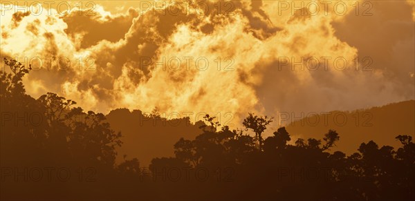 Evening mood, clouds over cloud forest, mountain rainforest, Parque Nacional Los Quetzales, Costa