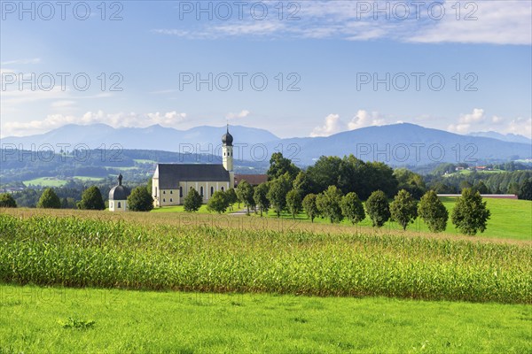 Pilgrimage church of St Marinus and Anian in Wilparting, cornfield, avenue, meadow, municipality of