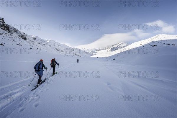 Two ski tourers ascending in fresh snow, snow-covered mountain peak Monte Cevedale in the