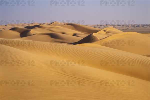 Sand dunes in the desert, near Duqm, Oman, Asia