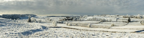 Aubrac plateau in winter. Lozere departement. Occitanie. France