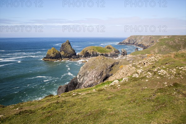 Coastal scenery near Kynance Cove, Lizard Peninsula, Cornwall, England, UK