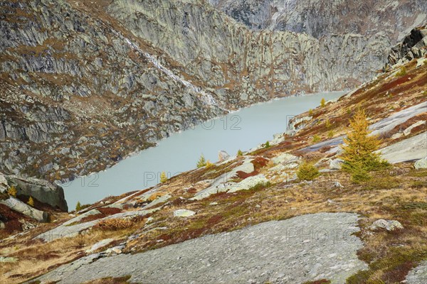 Swiss Alps in autumn, Grimselsee, Bern, Switzerland, Europe