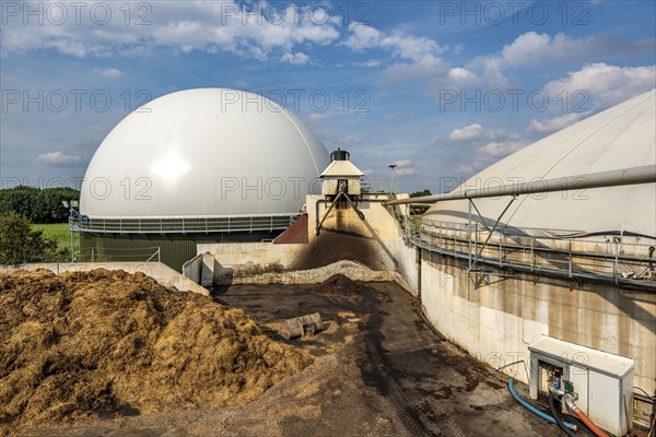 Biogas plant, gas storage, with dome, use of solid manure as energy source, storage area, on a farm
