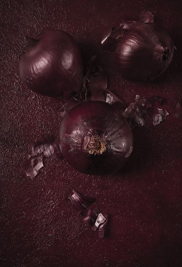 Red onion, fresh, raw, on a dark background, top view