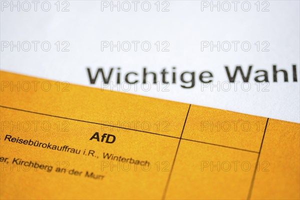 Ballot paper, ballot paper, election matter, AFD, regional election, district council election,