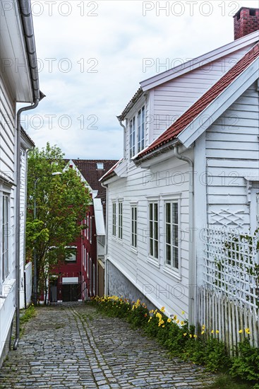 Gamle Stavanger, White Wooden Buildings in Old Stavanger, Stavanger, Norway, Europe