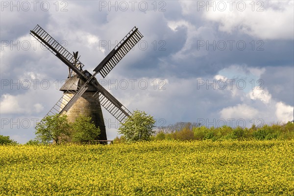 Eisbergen windmill with rape field Porta Westfalica Germany