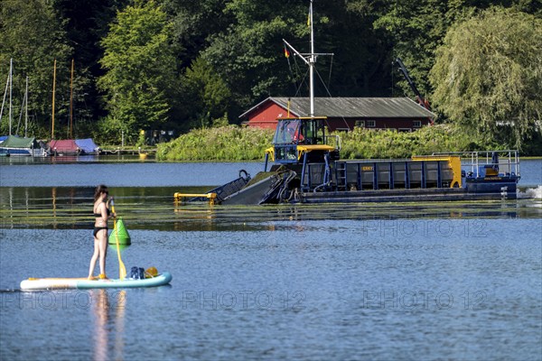 Mowing boat Nimmersatt, of the Ruhrverband, tries to keep the green plant carpet on the Lake