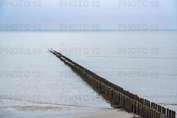 North Sea island of Spiekeroog, East Frisia, in winter, groynes, breakwater on the west beach