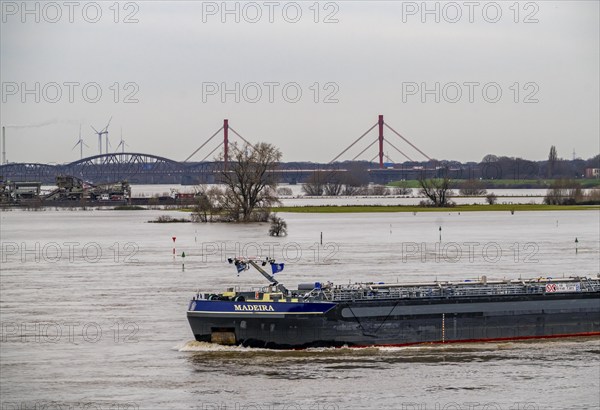 Flood on the Rhine near Duisburg, view from Ruhrort to the north, over the Rhine meadows of