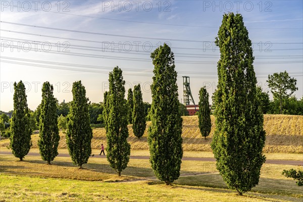 The Krupp Park in Essen-Altendorf, part of the Krupp Belt, an urban development project to rebuild