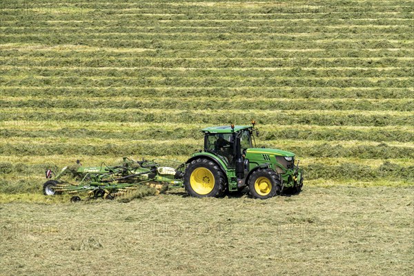 Hay harvest, in a meadow near Duisburg-Baerl, tractor with roundabout tedder, a hay tedder that