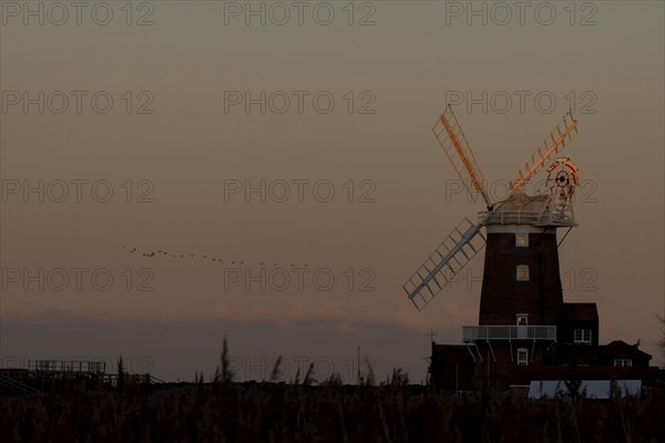 Windmill at sunset with a red sky and a skein or flock of Pink-footed geese (Anser brachyrhynchus)