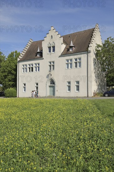 White building with stepped gable and yellow flower meadow, rape field, Burgstraße, Mittelzell,
