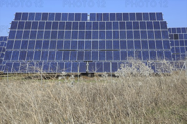 PV solar array at Cordel del Palmar, near Vejer de la Frontera, Cadiz province, Spain, Europe