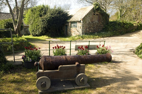 Old cannon and buildings Island of Sark, Channel Islands, Great Britain