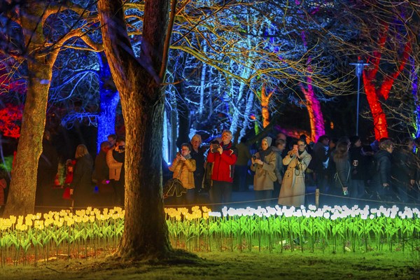 Parkleuchten, event in winter, in the Grugapark in Essen, many different light installations,