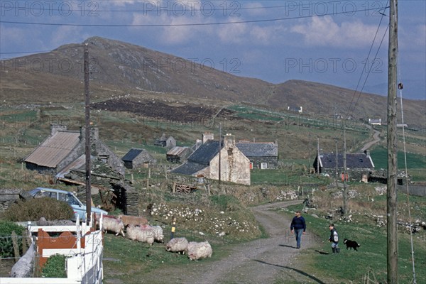 Sheep, farmer, child, people, road, houses, Dursey Island, Beara Peninsula, County Cork, Republic