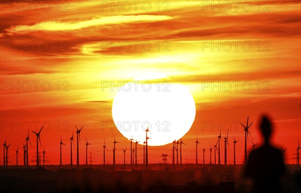 Joggers on Berlin's Drachenberg at sunset. A wind farm near Nauen in Brandenburg can be seen in the