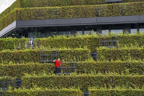 Green façade, made of over 30, 000 hornbeams forming a hedge a good 8 kilometres long, on the roof
