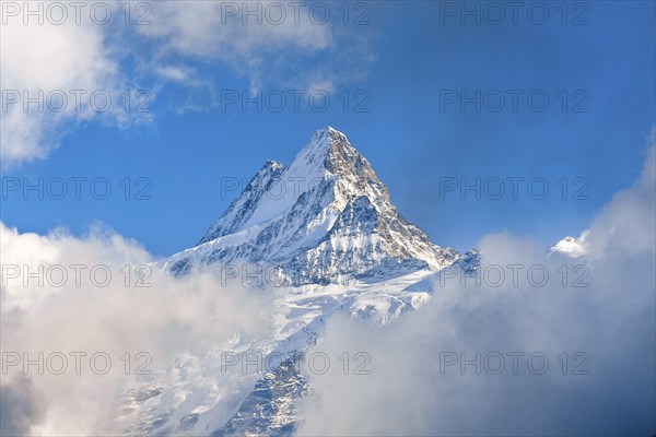 Swiss Alps, view from First to Schreckhorn, 4048 m, fog, summer, First, Grindelwald, Bernese
