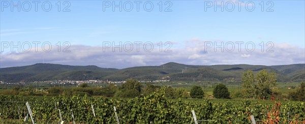 Panorama from the Haardtrand with a view of the Palatinate Forest