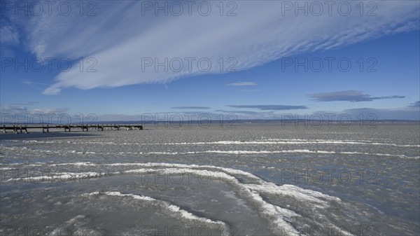Frozen lake with ice in winter, Lake Neusiedl, Podersdorf am See, Burgenland, Austria, Europe