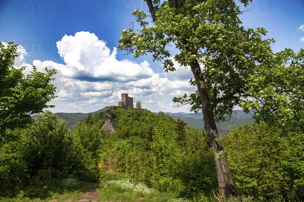 View of Trifels Castle near Annweiler (Palatinate Forest, Germany)