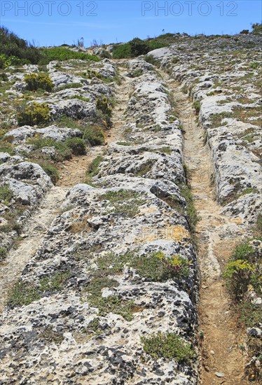 Misrah Ghar il-Kbir, Clapham Junction, prehistoric cart ruts tracked over rocky limestone surface,