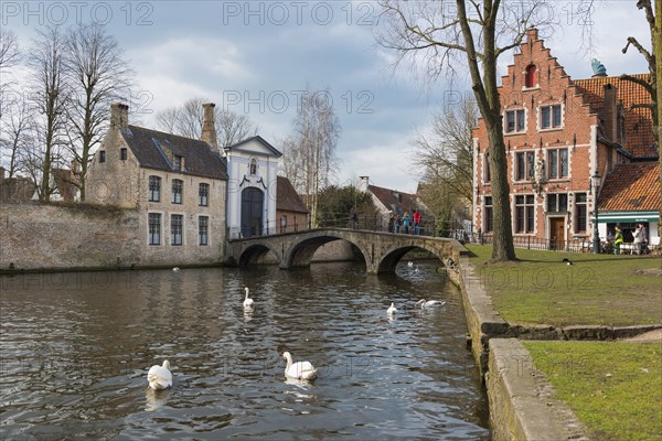 Swan on the Minnewater, city trip, UNESCO, religious, religion, old town, West Flanders, Flanders,