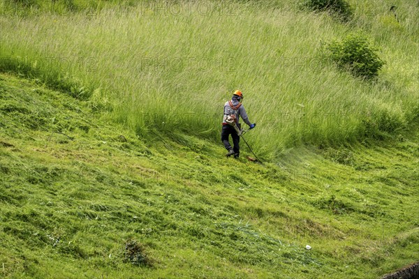 Landscape maintenance, high grass, cutting at a business, gardener, landscape maintenance, cutting