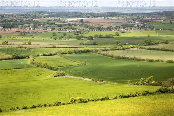 Summer view over patchwork of green fields looking east towards the distant Cotswolds, Roundway