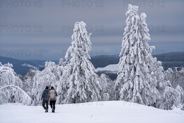 Winter in Sauerland, Hochsauerlandkreis, at Kahler Asten, near Winterberg, few tourists, visitors,