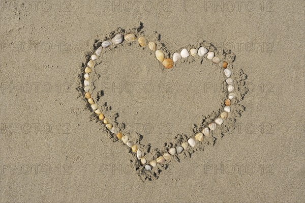 Heart made of mussel shells on the beach, Camargue, Provence, South of France