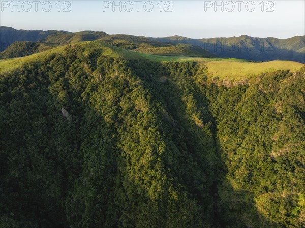 Aerial view of green hills in clouds at Fanal mountain, Madeira island, Portugal, Europe