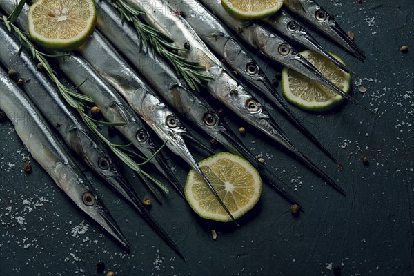 Fresh, Black Sea fish. raw, sargan, sea pike, top view, no people