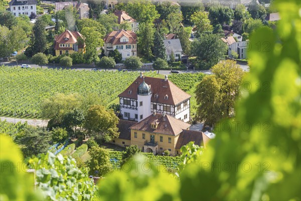 The idyllic, listed Hoflößnitz is a jewel of the Saxon wine culture landscape and the first and