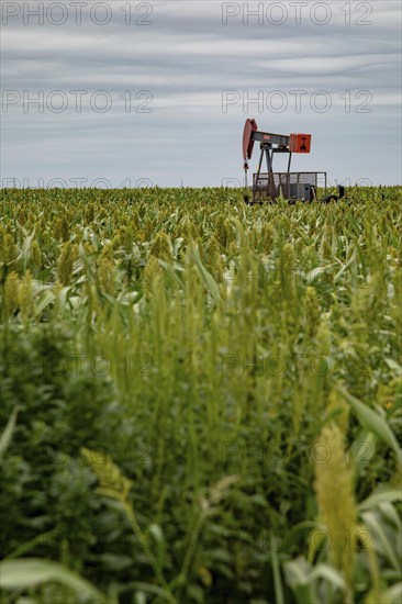Hugoton, Kansas, An oil well in a farmer's field in southwest Kansas
