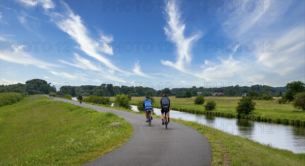 Cyclist on a cycle path by the river, landscape in the Lower Oder Valley National Park, Criewen,