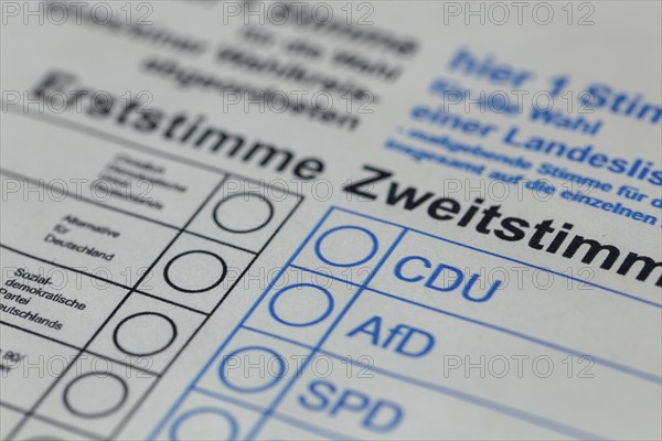 Close-up of a symbolic ballot paper