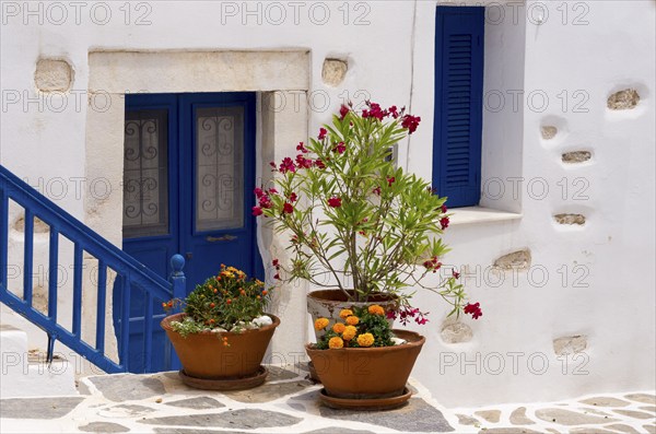 House entrance with floral decoration, Parikia, Paros, Klyklades, Greece, Europe