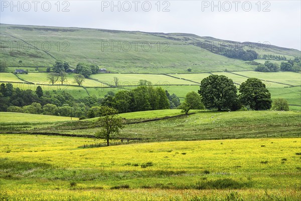 Farms over North Pennines, Cumbria, Durham, Northumberland, North Yorkshire, England, United