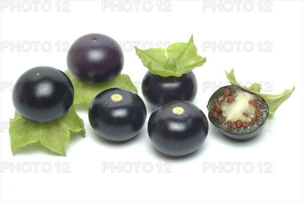 Food, fruit, black Jaltomata, Jaltomata procumbens is a plant species from the genus Jaltomata in