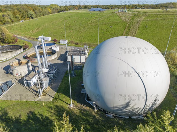 Biogas storage, biogas treatment plant, purification of biogas from organic waste, green waste and